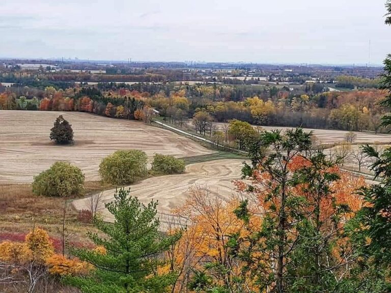 Best Trails In The Waterloo Region For Beginner Hikers