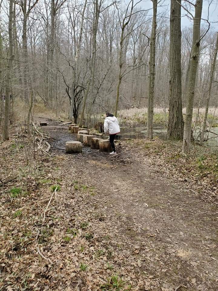 The trails at Dryden Tract aren't maintained during the Winter months