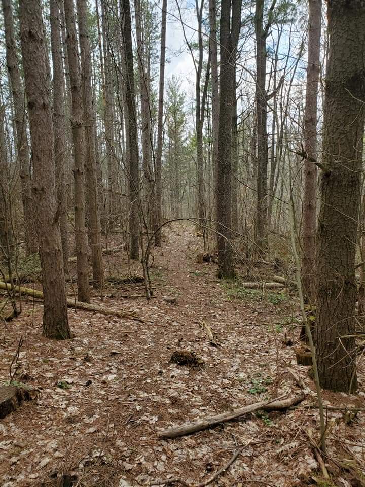 The trails at Dryden Tract are inter-changeable and aren't well marked, making it slightly difficult for beginner hikers to navigate