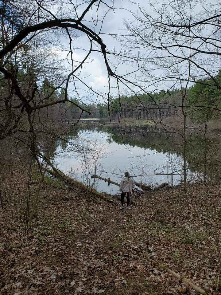 There are several water areas along the trails at Dryden Tract