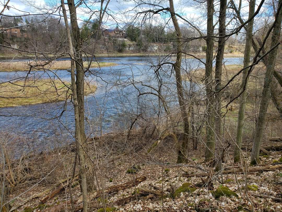 The footpaths of the Rare Trail in Cambridge, Ontario follow along the Grand River