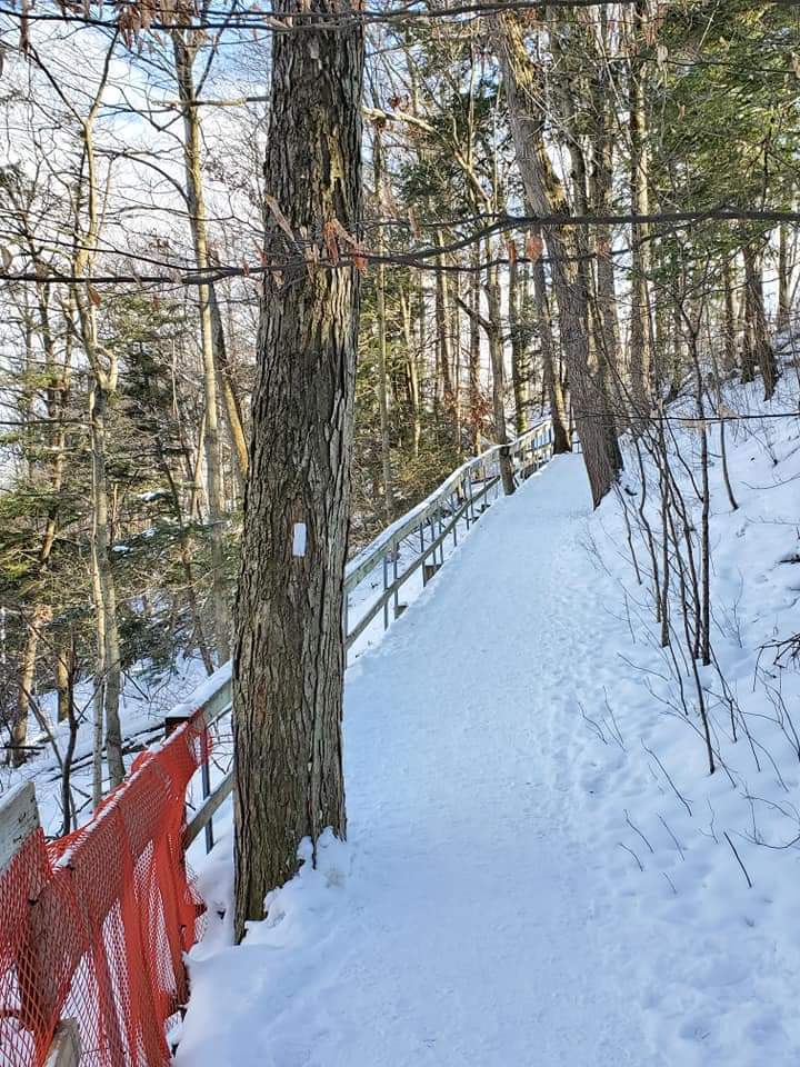 The Homer Watson Trails aren't groomed, but it's still relatively easy to hike during the Winter