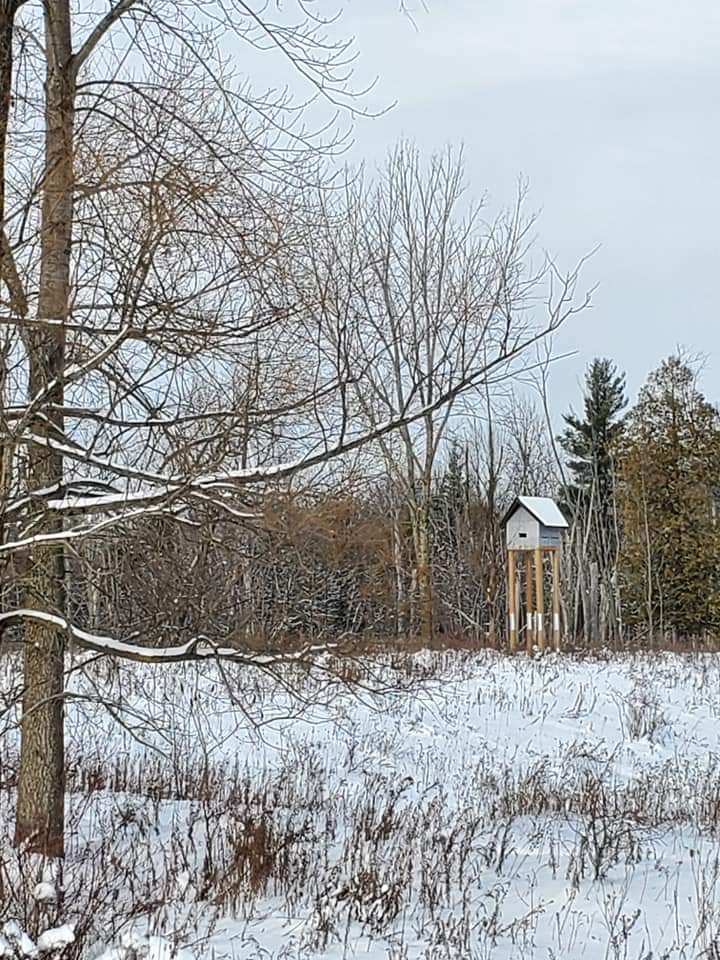 When hiking Huron Natural Area during the Winter, birders will see many different species of birds