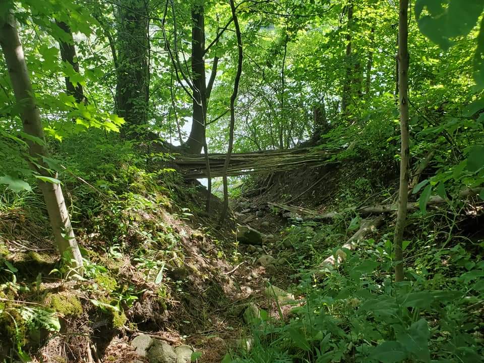 Laurel Creek Conservation Area is open year-round with maintained trails. Laurel Creek is a popular place for hiking and cross-country skiing