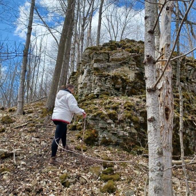 Enjoy the rock formations scattered along the Rare Trail in the Waterloo Region