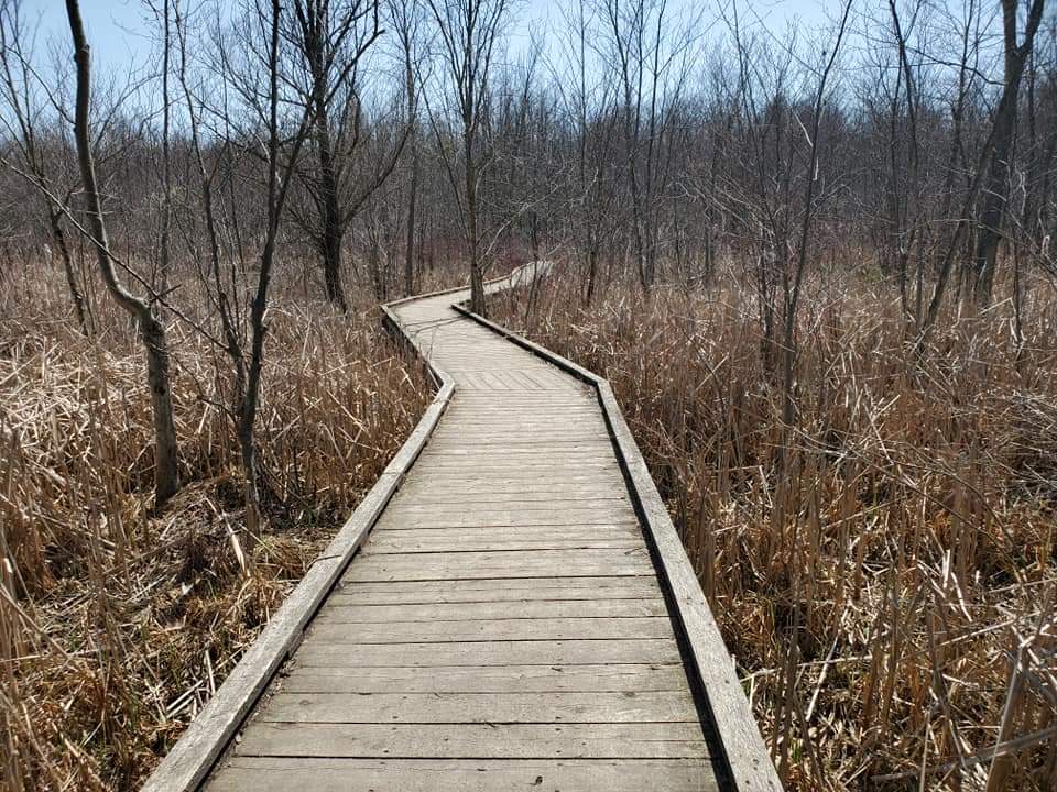 The trails at Sudden Valley are not maintained, but are well marked making these trails easy to navigate for beginner hikers