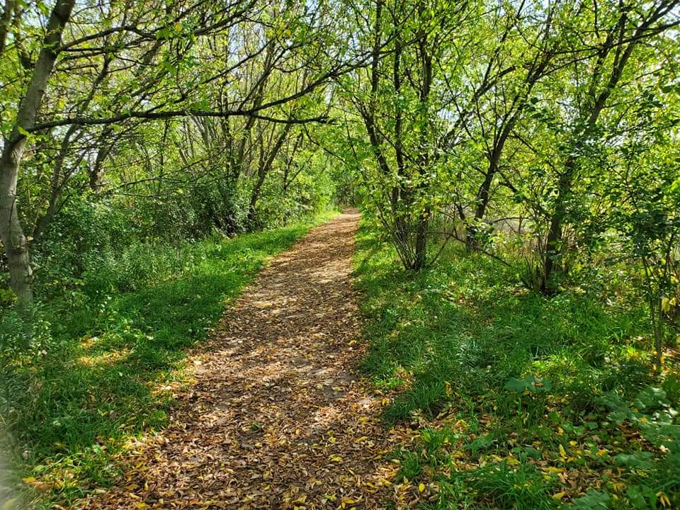 The trails at Snyders Flats are easy to navigate for people new to hiking