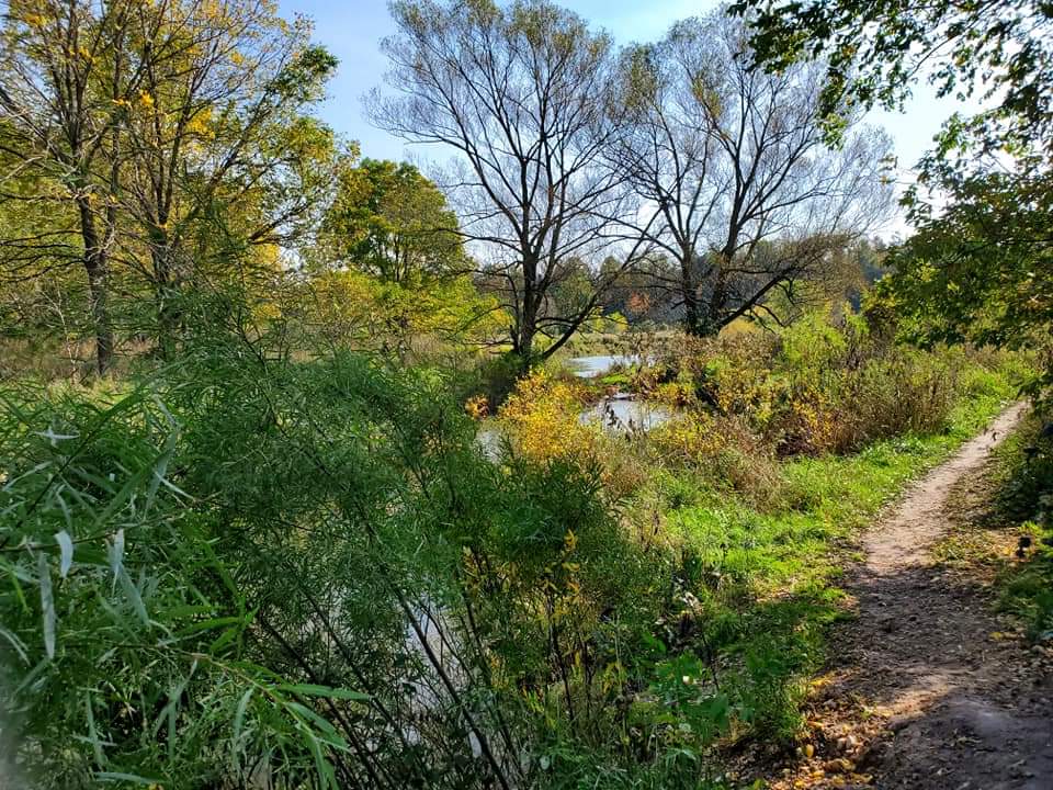 Summer is the best time to hike at Snyders Flats as its wet and slippery during the Spring and trails aren't maintained during the Winter