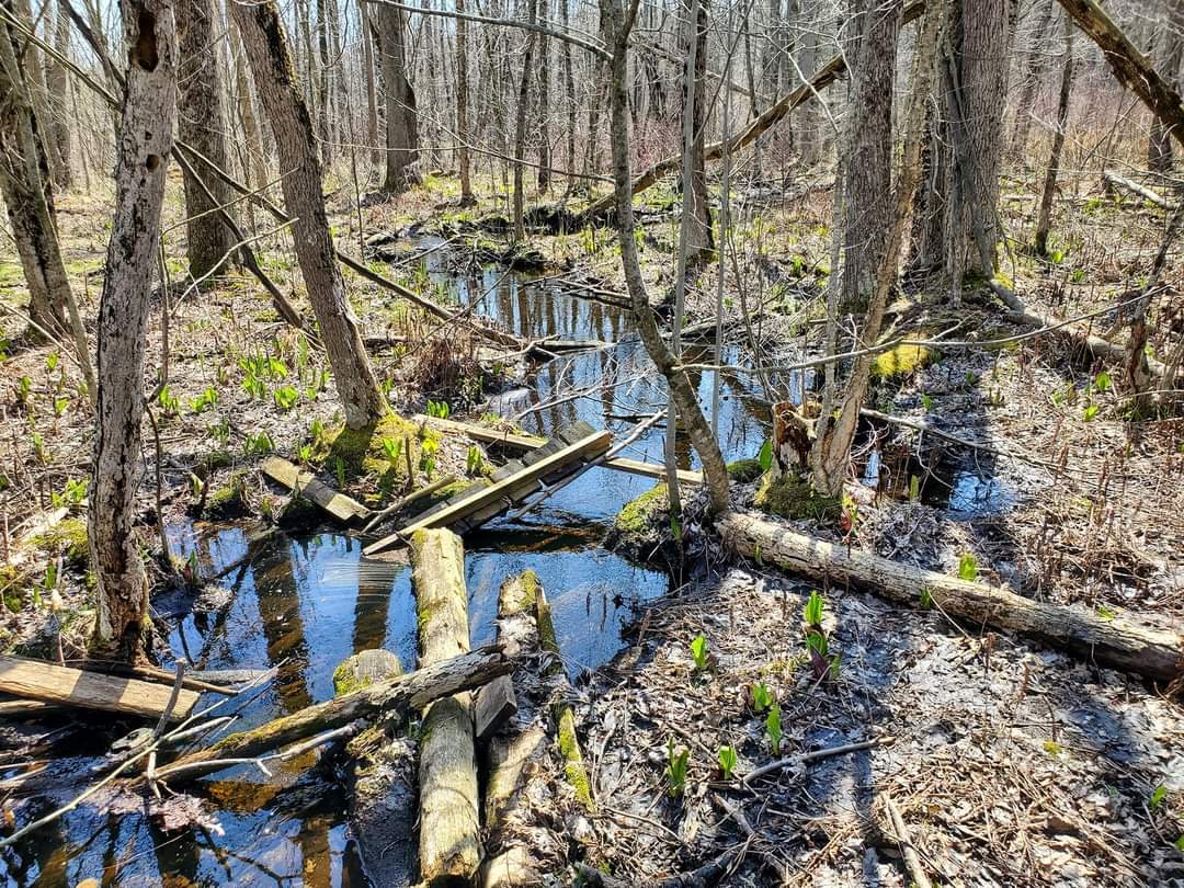 Sudden Valley trails aren't maintained and are best hiked during the Spring, Summer, and Fall