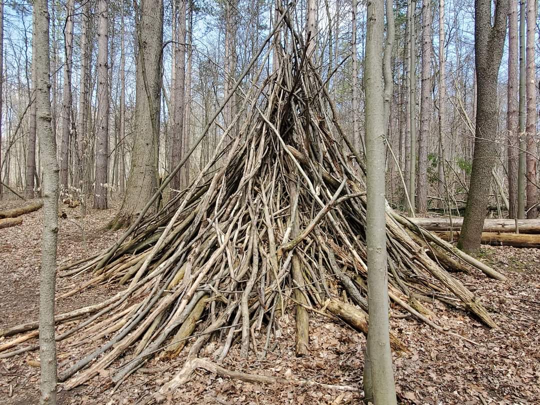 Sudden Forest trails are located on the outskirts of Cambridge, Ontario