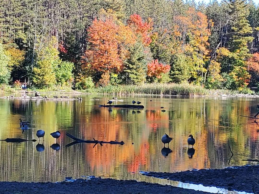 Huron Natural Area is a year round hiking destination for solo hikers, experienced hikers, families, photographers and birders