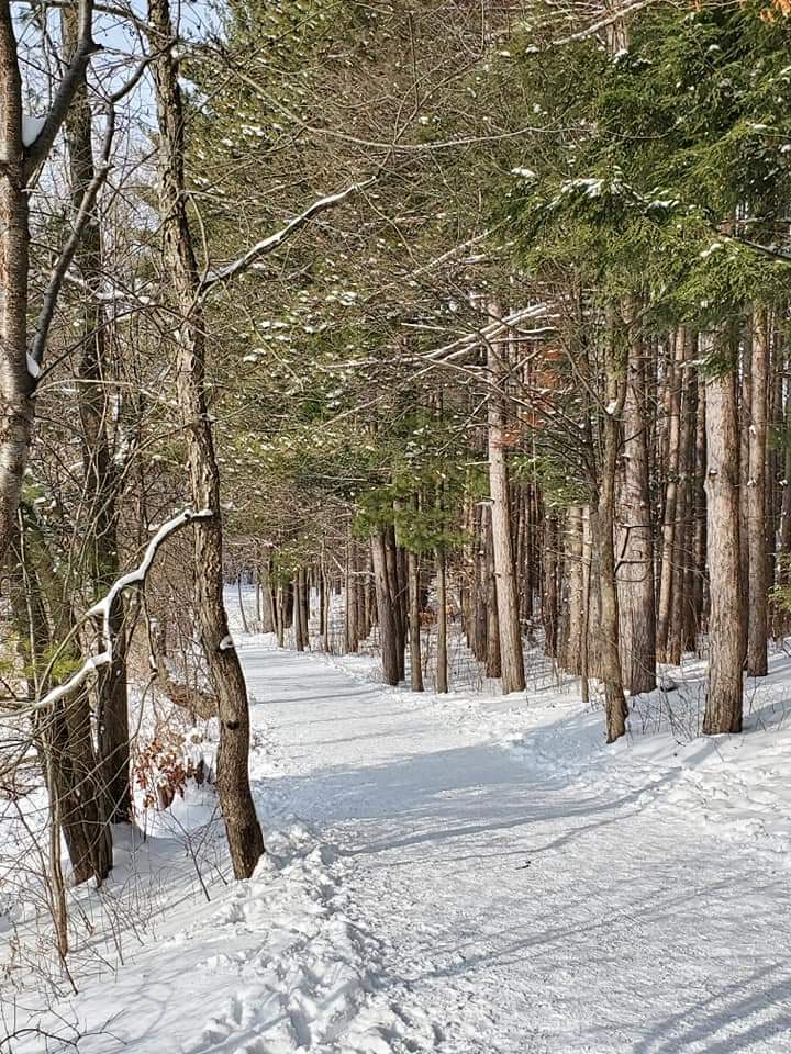 The at Huron Natural Area are kept groomed making the trails accessible year-round