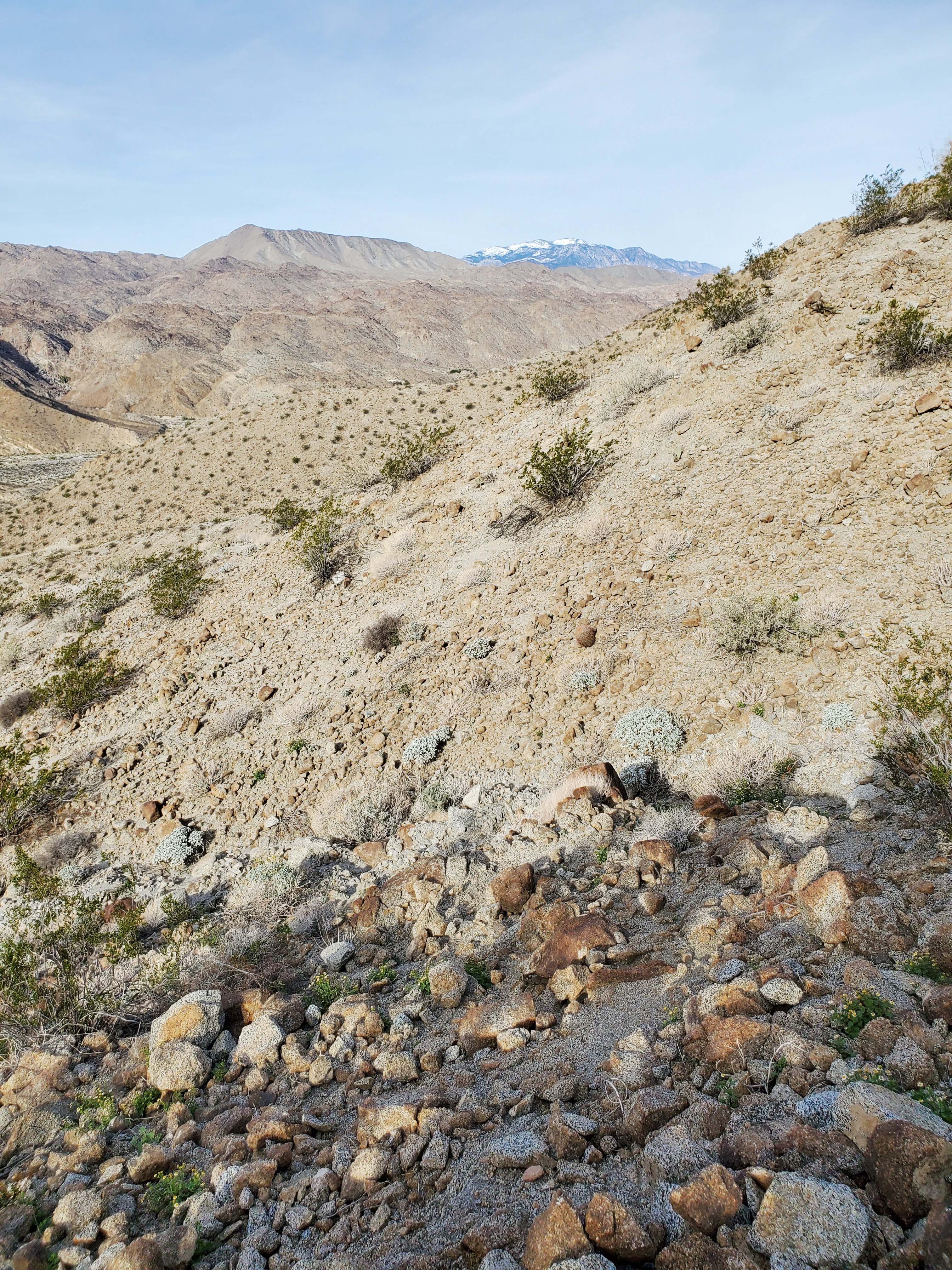 Pack all of your day hike essentials and be prepared when hiking in the desert.