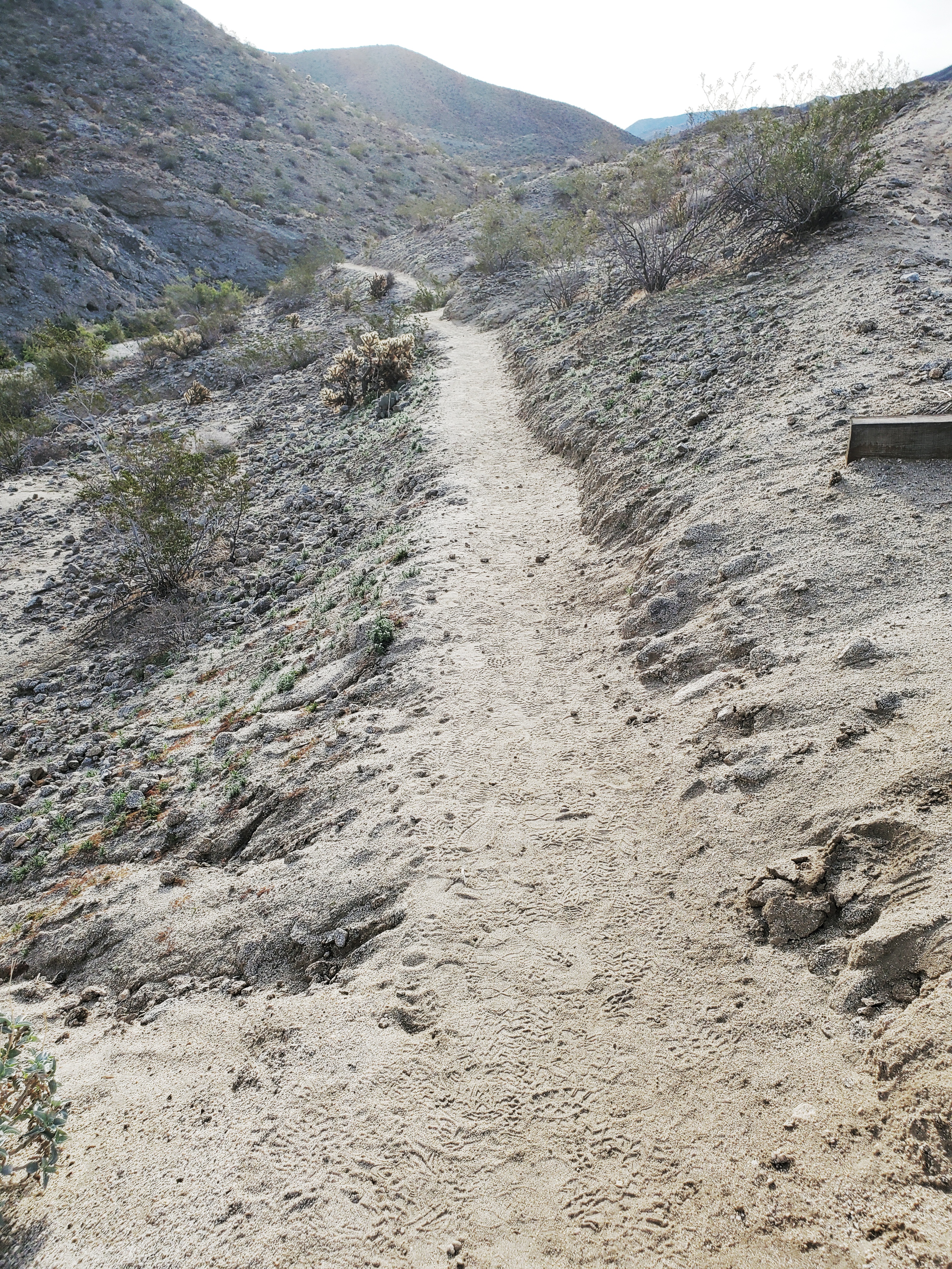 The desert trails in the Colorado Desert are narrow and can be dangerous