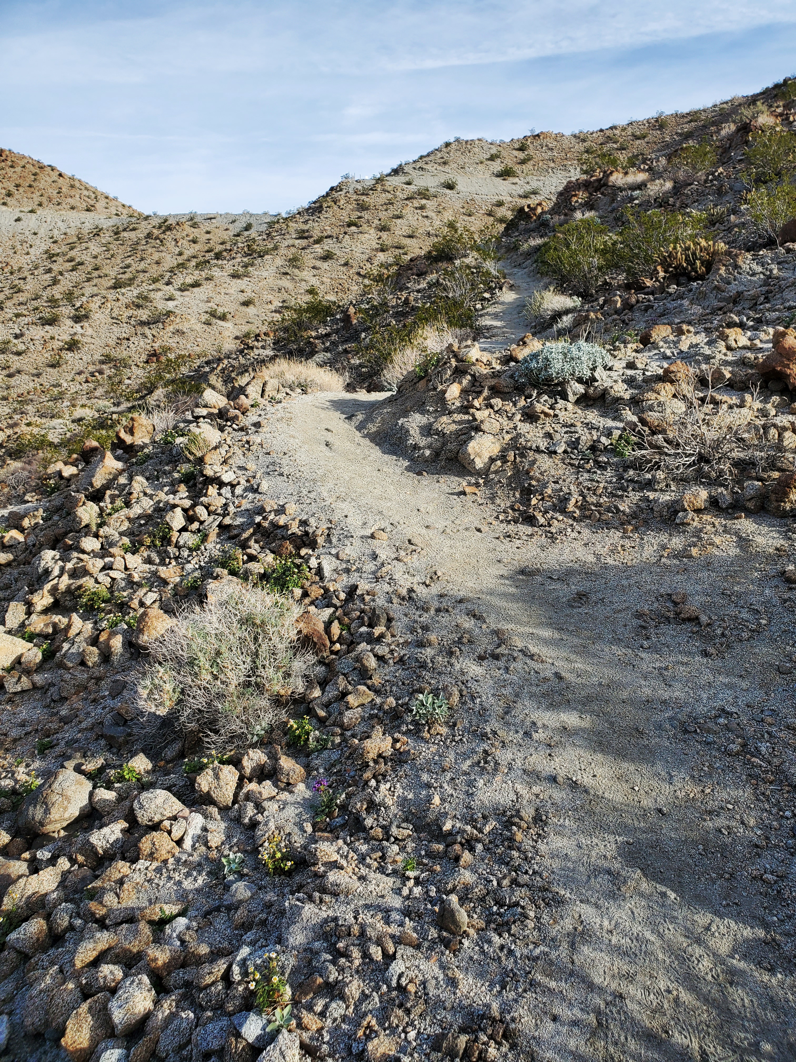 When desert hiking, yield to hikers climbing in elevation