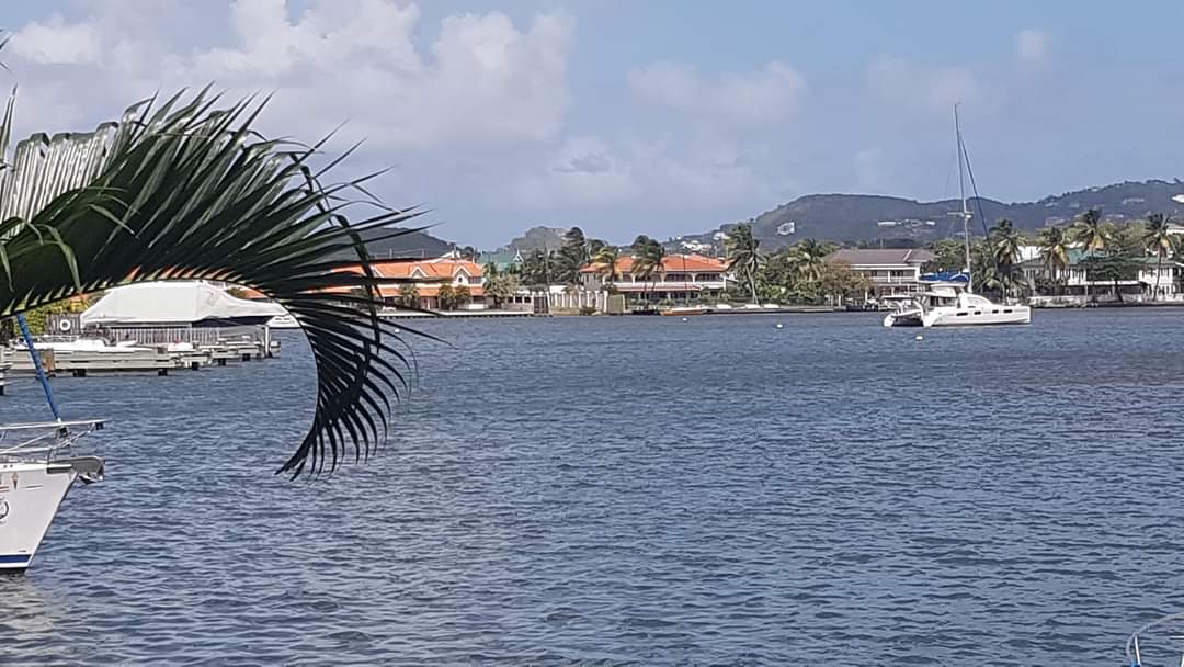 When visiting St. Lucia, book a snorkeling tour that takes you to the Pitons to truly live like a Lucian