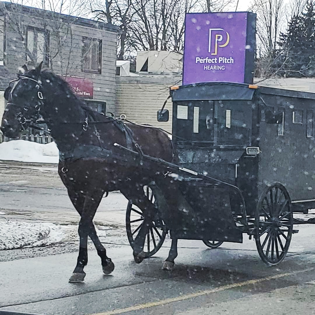 When visiting St. Jacobs, a small town in southwestern Ontario, you will notice that the original roots of the Old Order Mennonites remain visible.