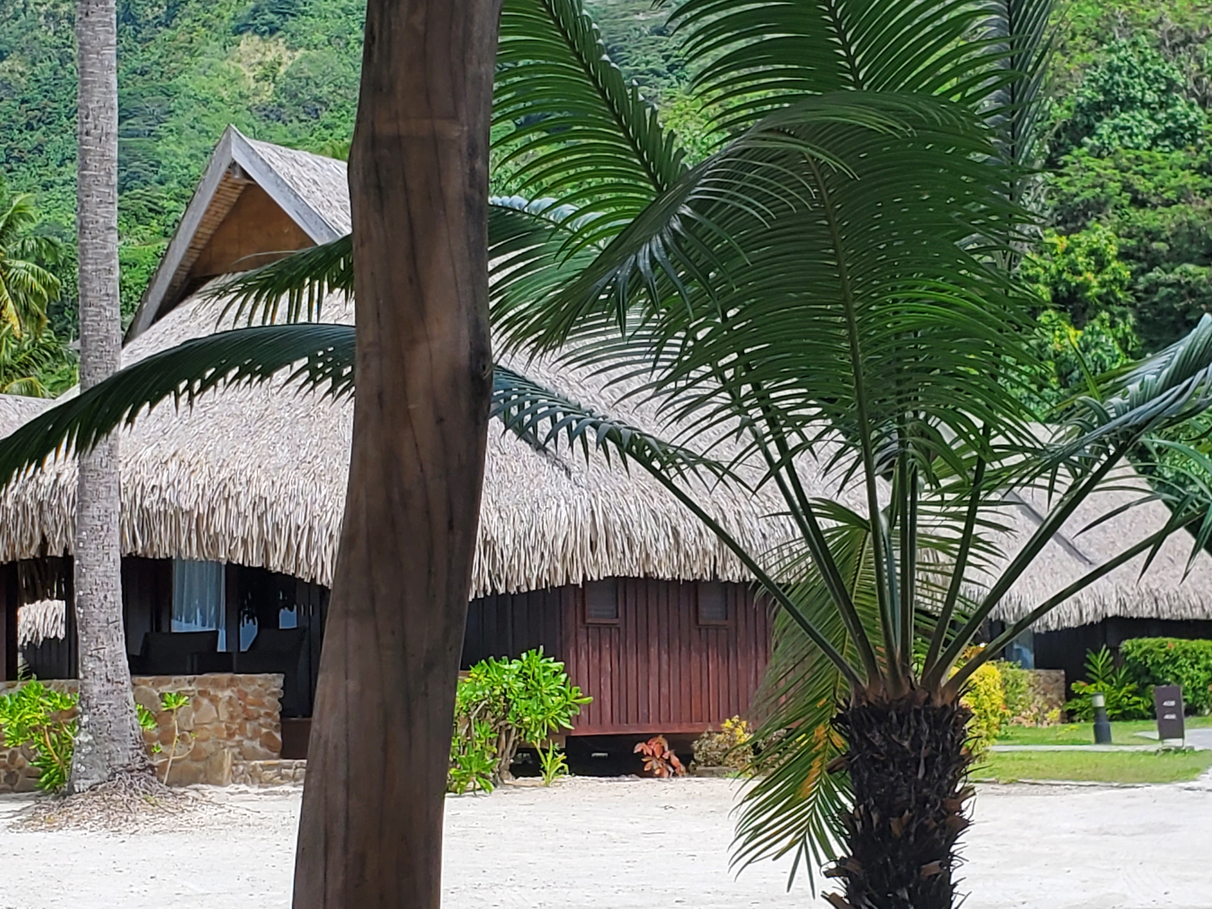 The lagoon view bungalow fronts directly onto the lagoon.  This bungalow is perfect for the avid snorkeller