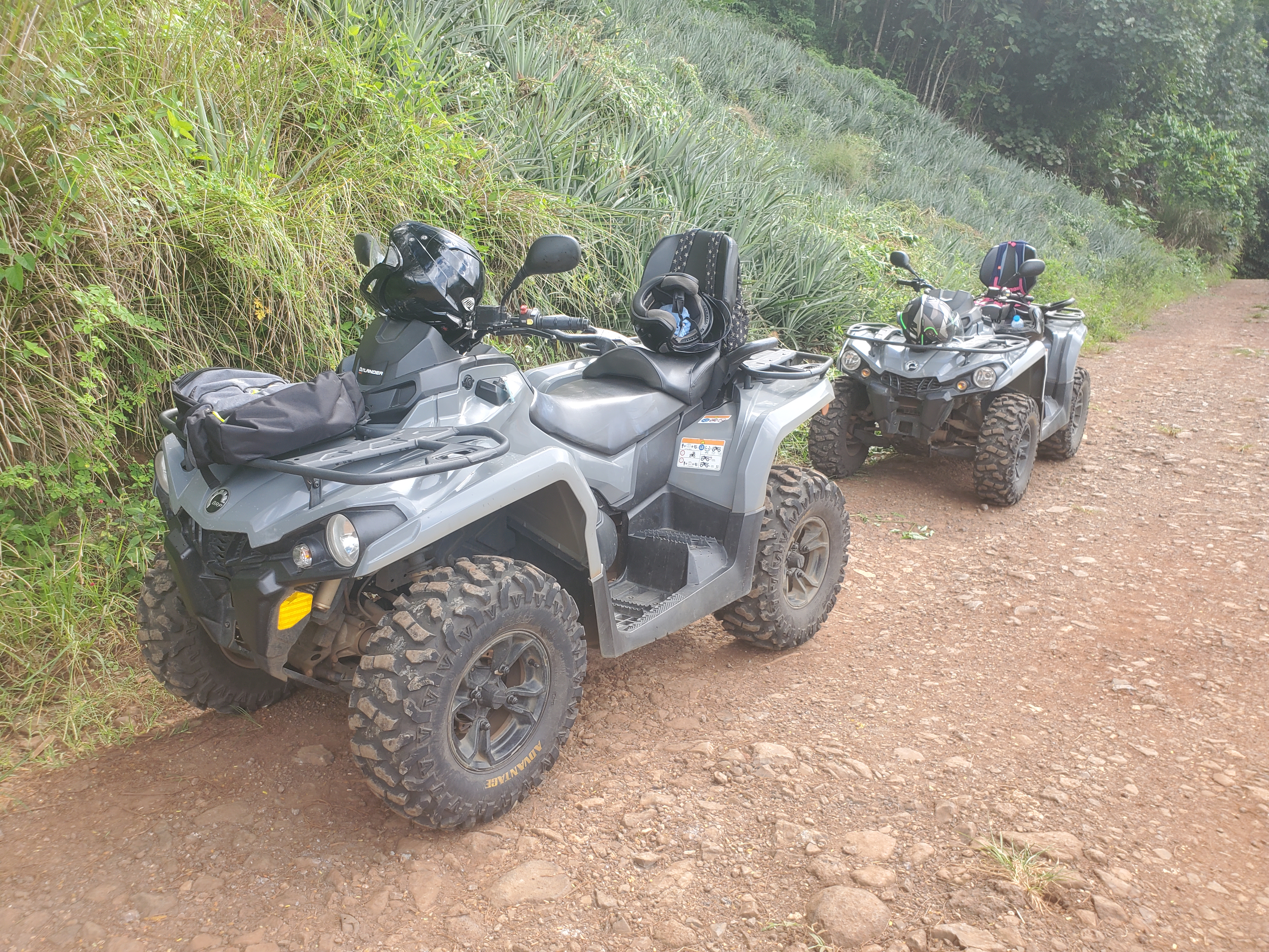 Bring your driver's license if you're planning on taking an ATV tour of Bora Bora