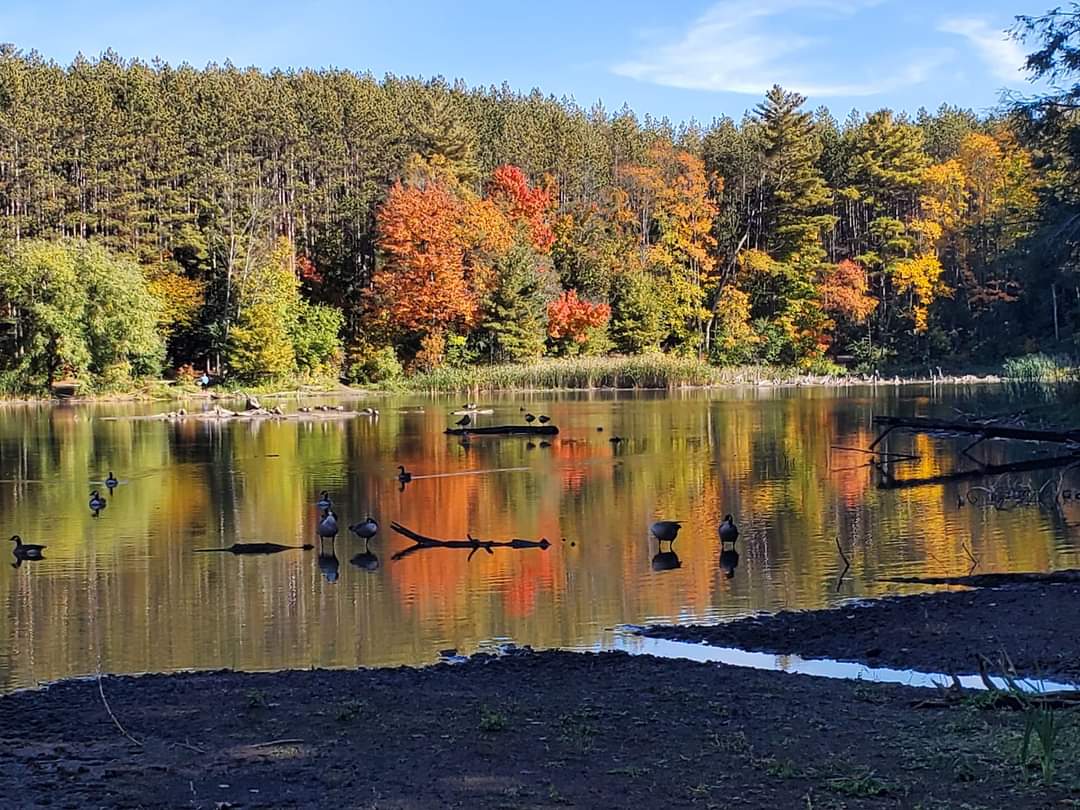 Hike the trails at Huron Natural Area, a hidden gem found in the middle of Kitchener, Ontario and a favourite of the locals.