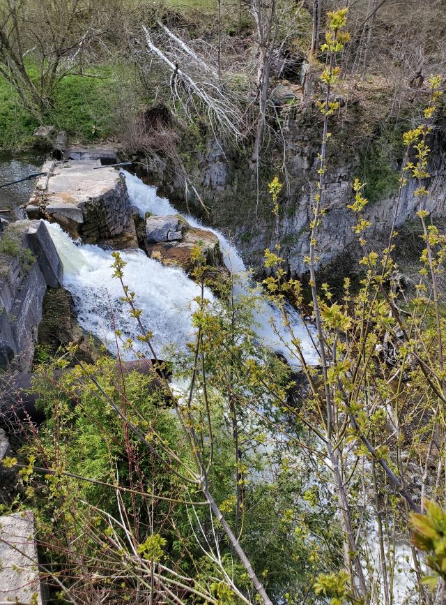 Walter's Falls is a small town located just outside of Chatsworth.  You can find the Falls directly behind the Walters Falls Inn & Spa