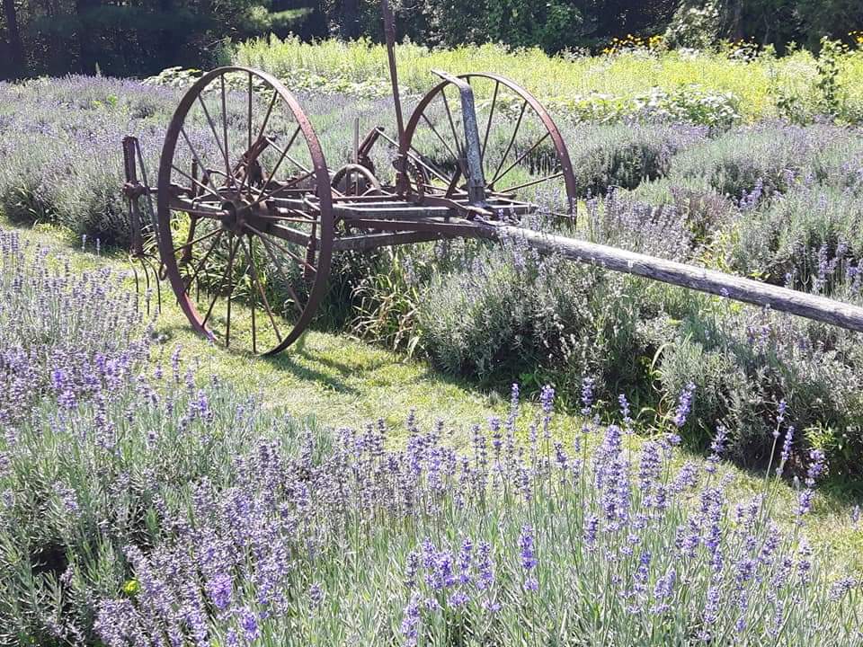 For a successful solo road trip, it's important to remember to stop to smell the flowers.  Slow down and enjoy.