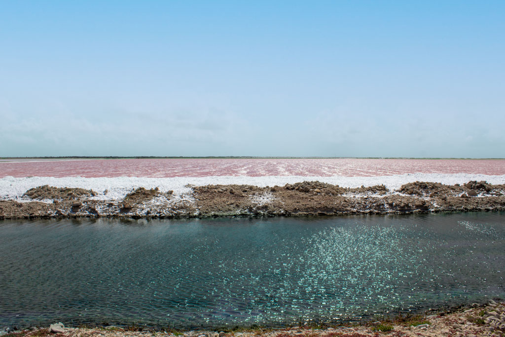 Visiting the salt fields is one of many activities in Bonaire for solo travellers