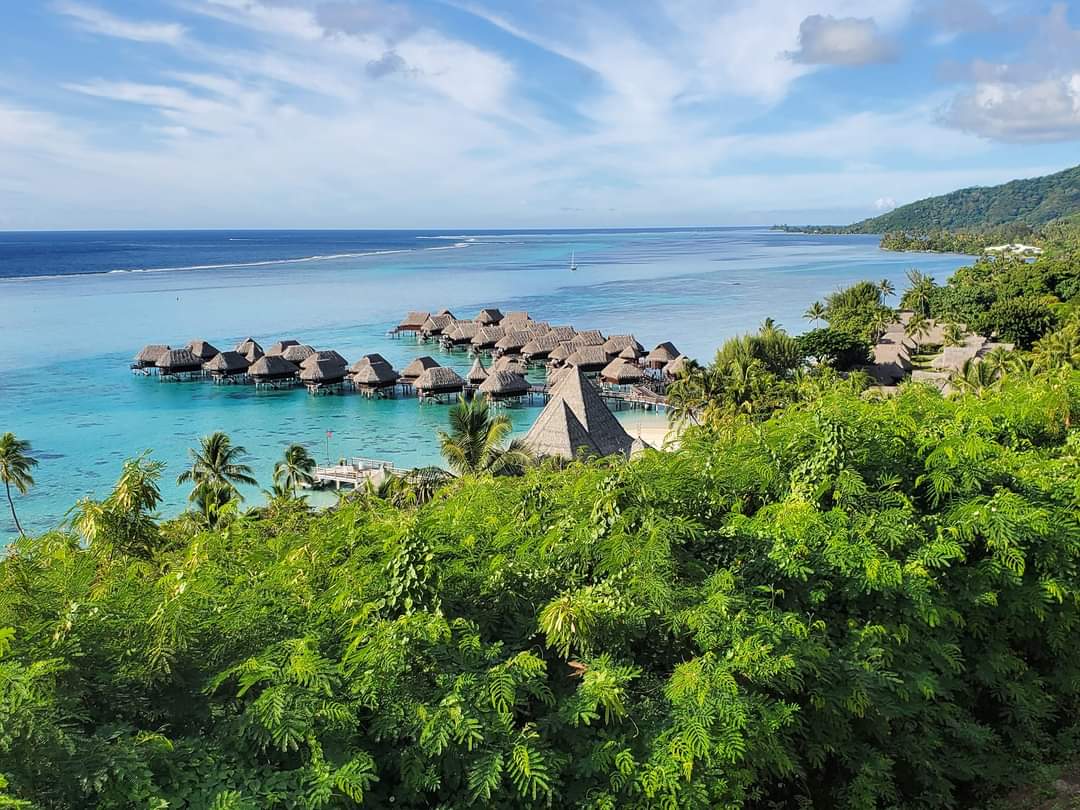 Book a stay at the Moorea Kia Ora Sofitel for your Polynesian adventures