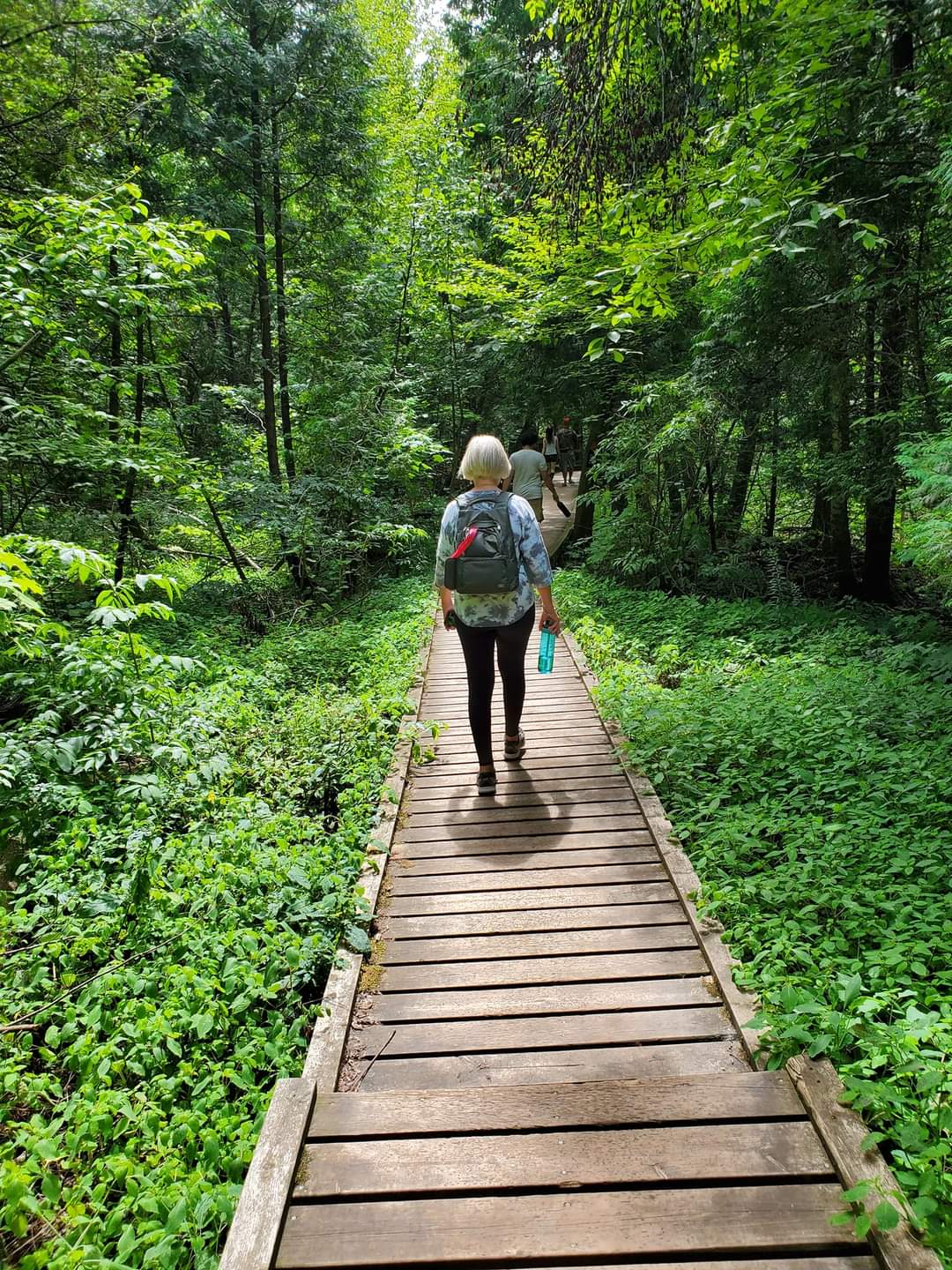 Proper clothing, hiking accessories, and lots of snacks and water are absolute essentials even when going on a short hike