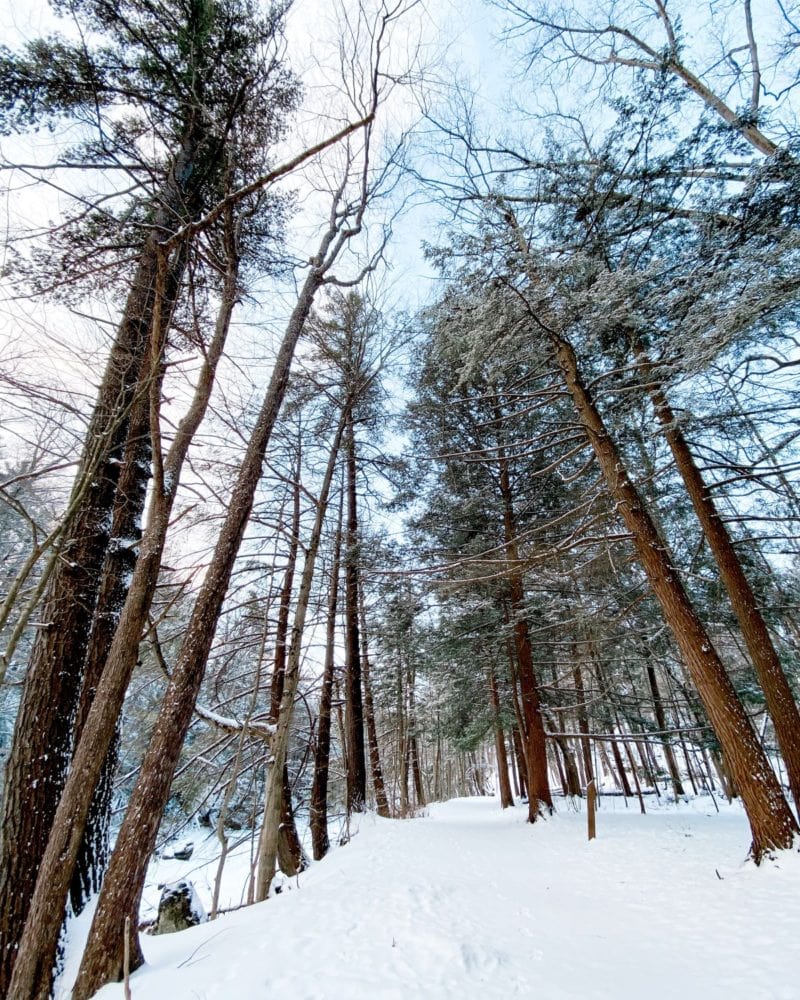 Hiking trails at Ball's Falls in the Niagara Region range from easy to moderate, depending on the trail you choose to hike