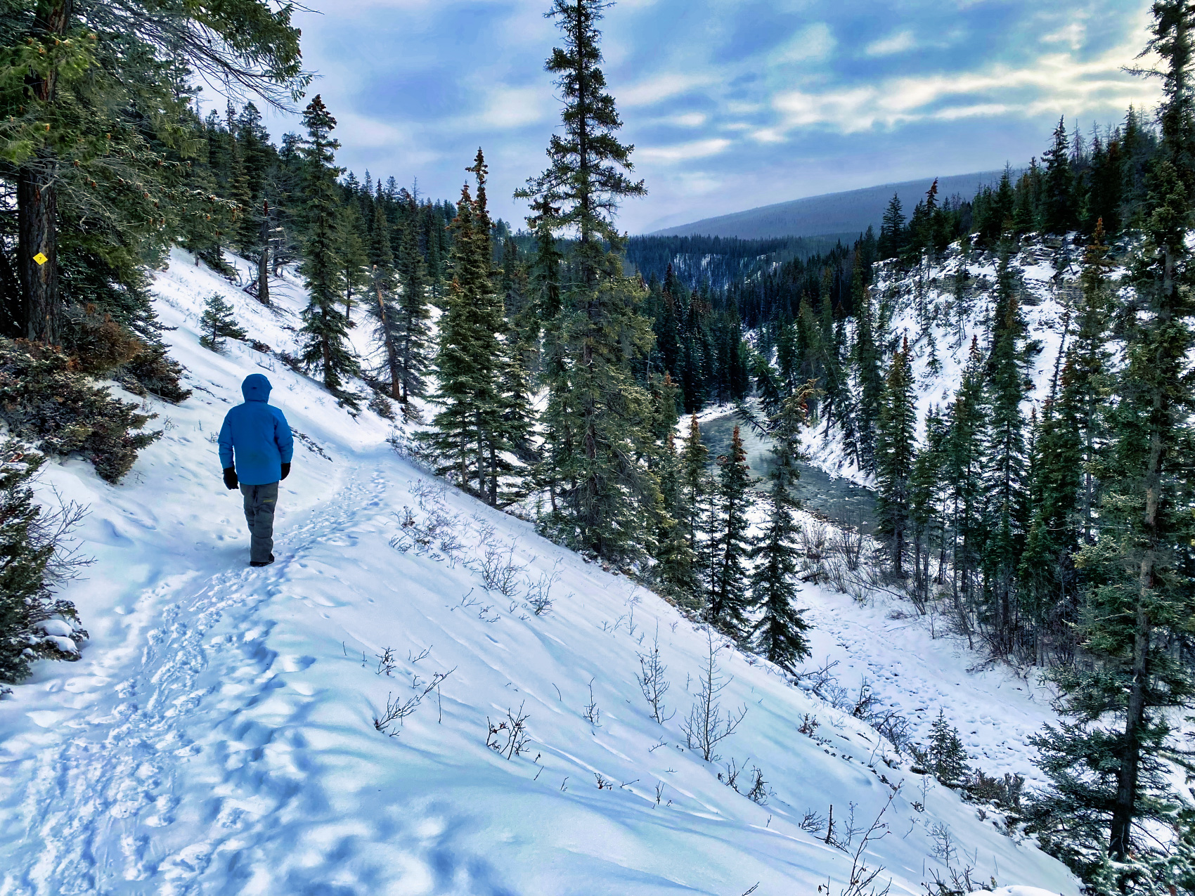 Winter is the ideal time to hike Maligne Canyon in Jasper. You will have the opportunity to get up close to nature's ice sculptures