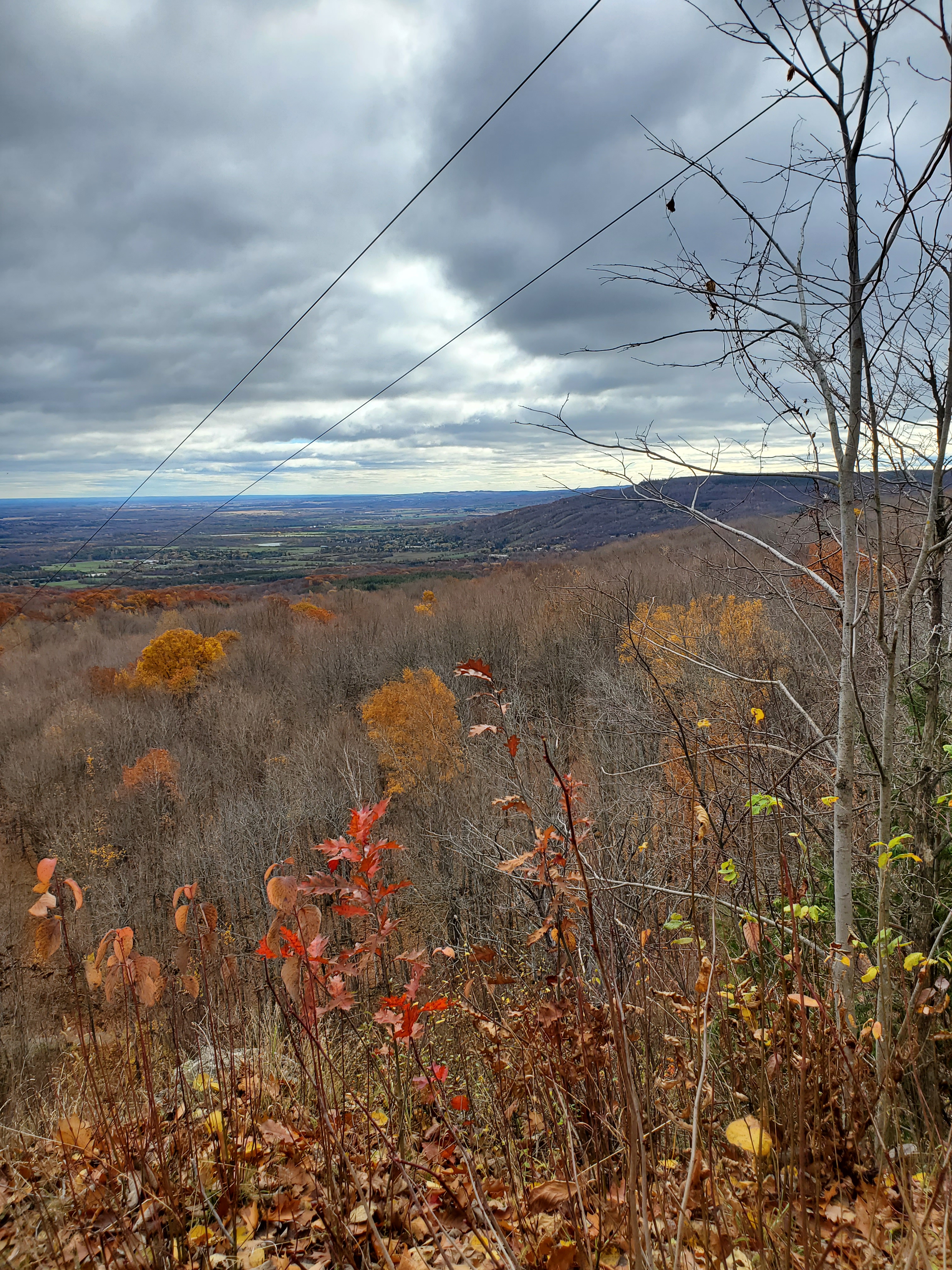 The Scenic Caves offer a breath-taking view over Georgian Bay during the Fall