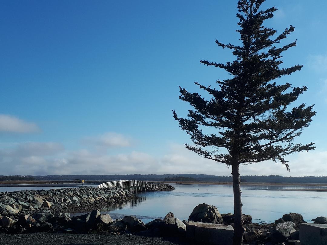 The Salt Marsh Trail is one of the best Winter hiking trails near Halifax Nova Scotia