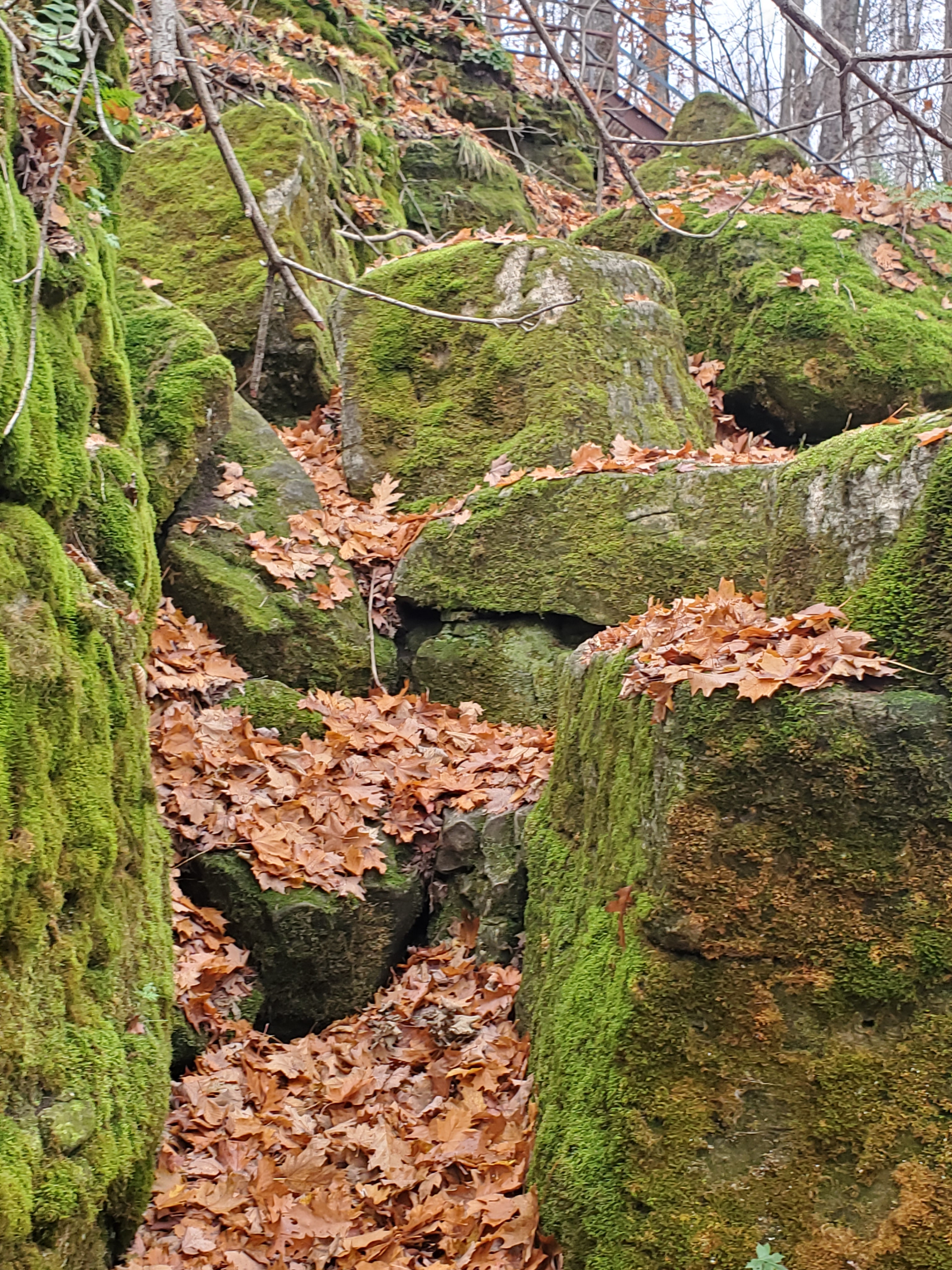 Enjoy the beauty of the many rock formations formed by glaciers when exploring at the Scenic Caves