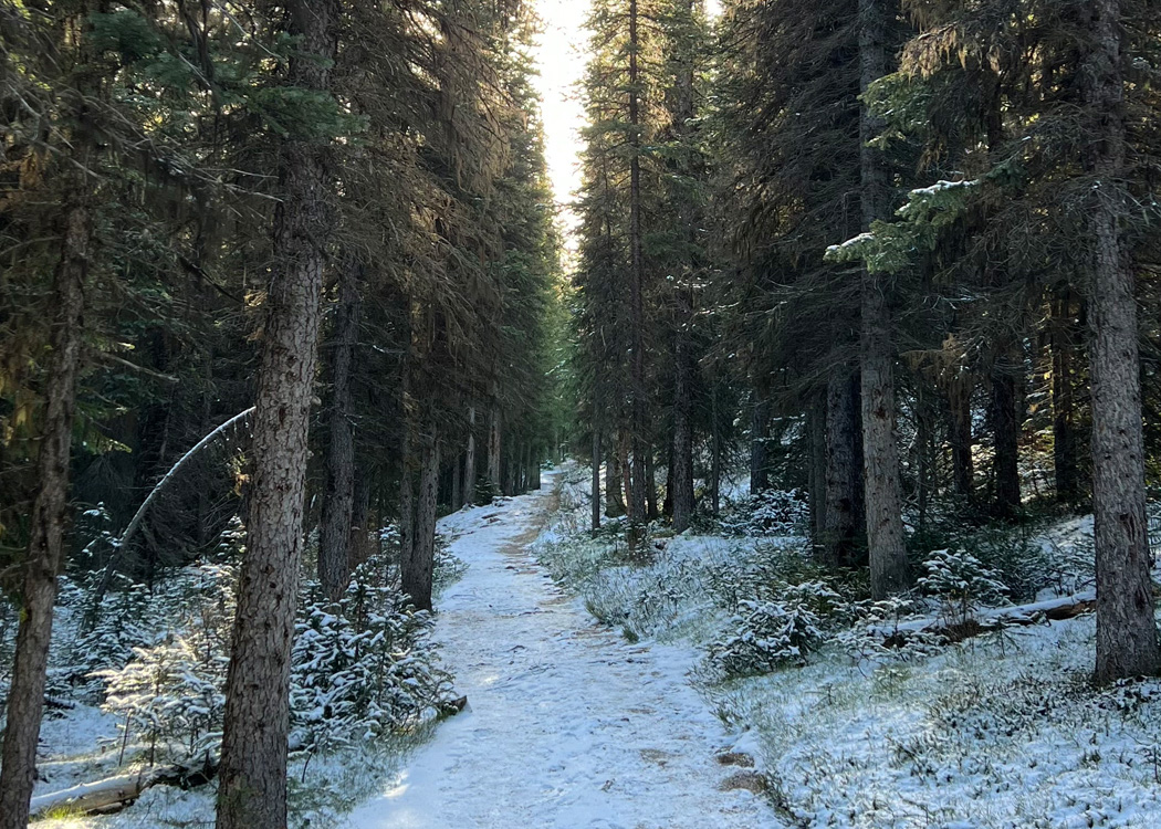 Be prepared for icey and snowy conditions when hiking the Shoreline Trail in the Winter.  Bring microspike or crampons for added traction