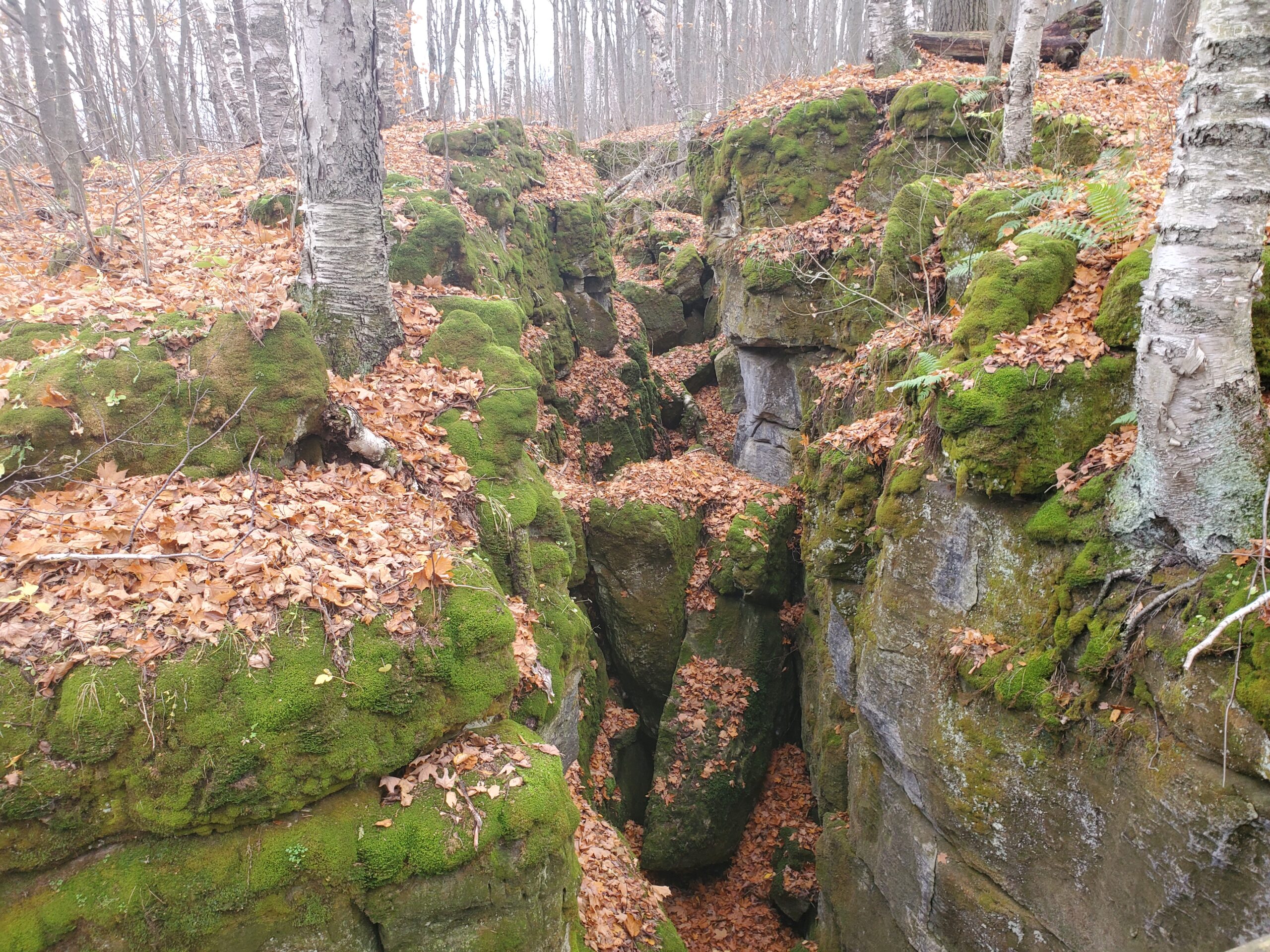 exploring the Scenic Caves in Collingwood