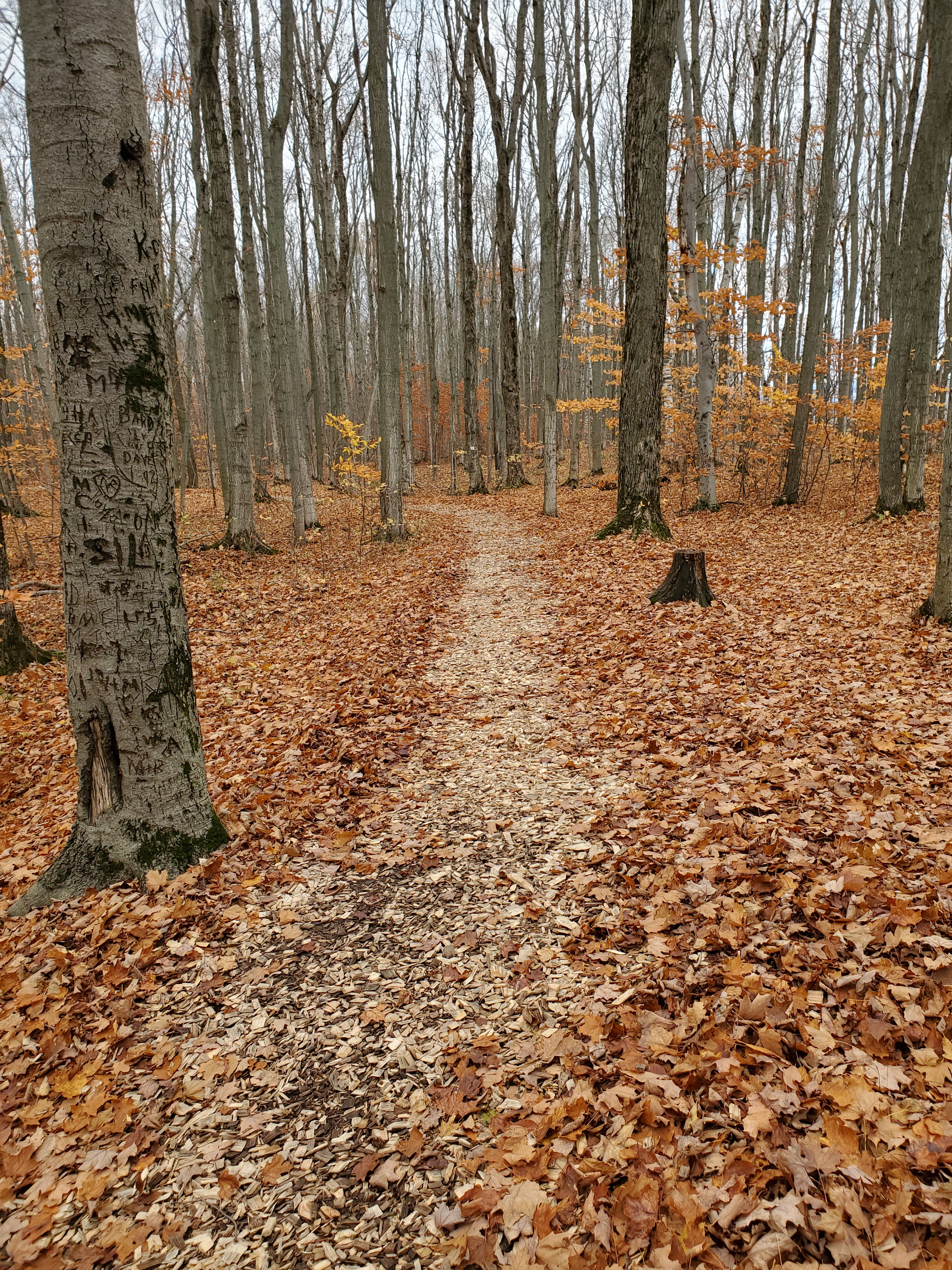 Hiking is beautiful during the Fall and in my opinion, it's the best time to visit the caves.