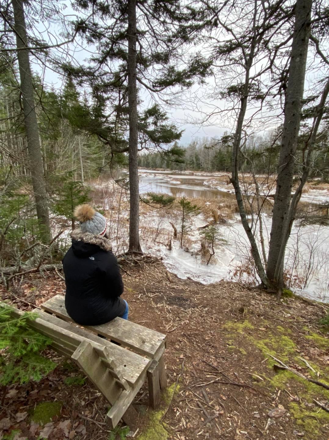 Enjoy the beauty of an enchanted forest as you hike along the river when hiking the Winter River Trail in Prince Edward Island