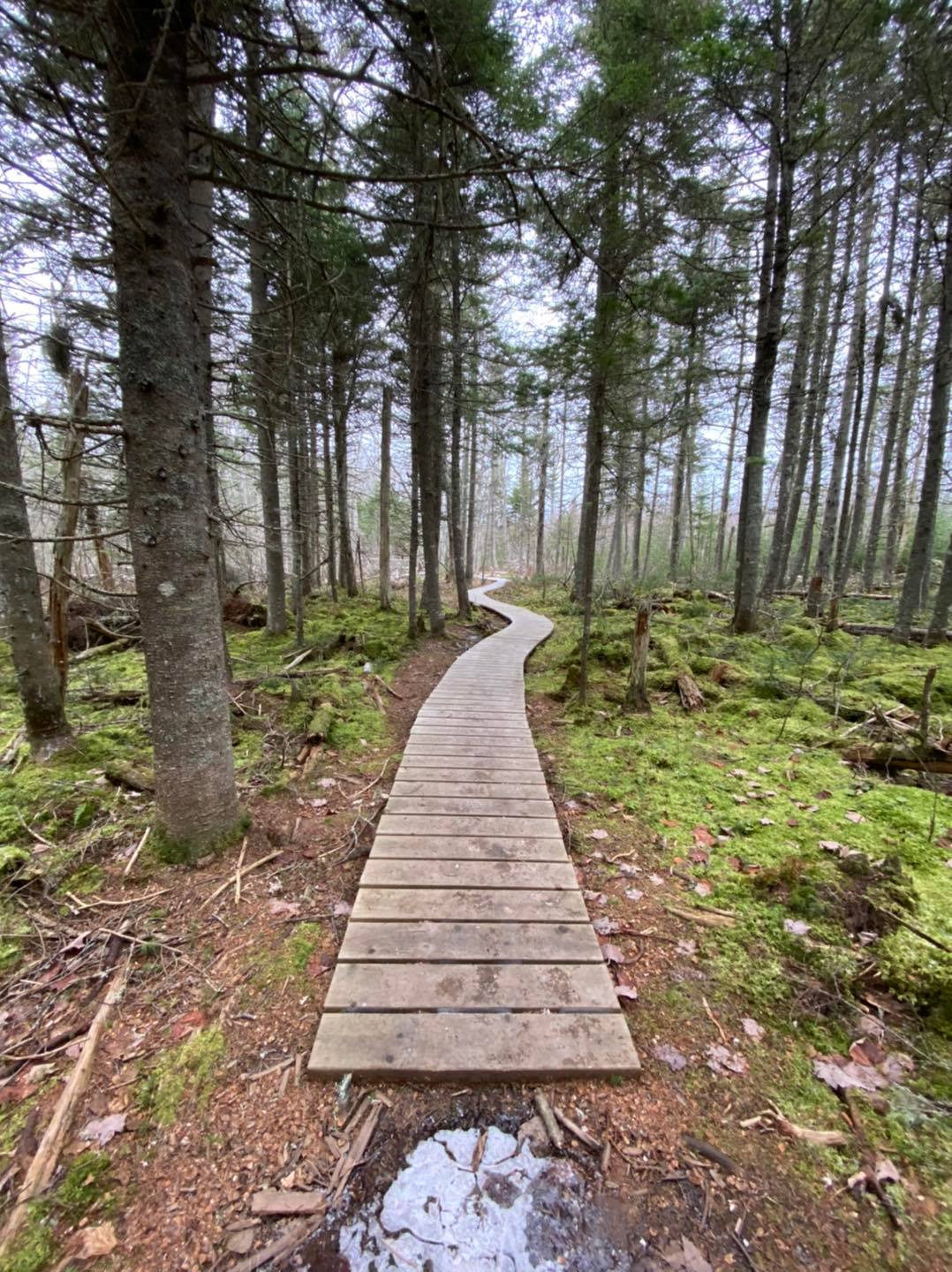 Hike across a 1,000 foot boardwalk as you wind through the forest on the Winter River Trail