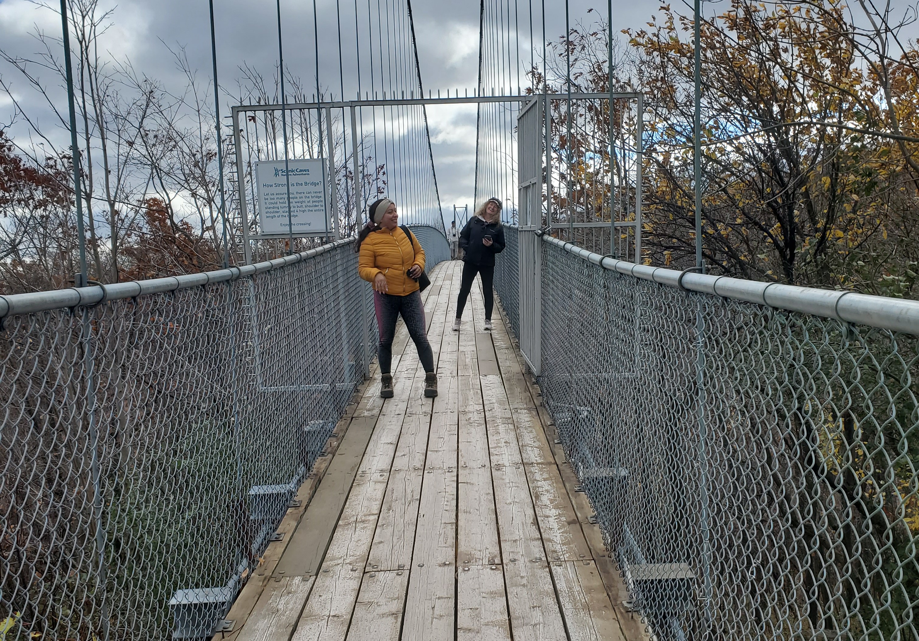 The longest swinging bridge  in Southern Ontario can be found in Collingwood.