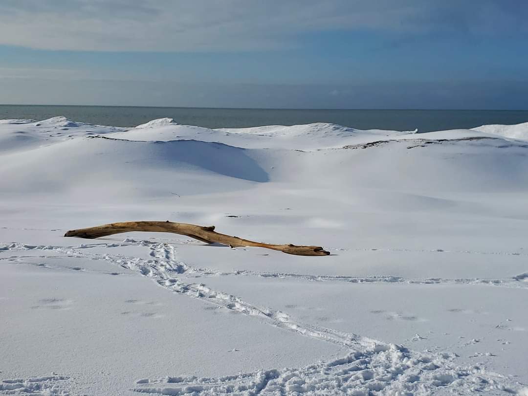 Winter cottaging in Grand Bend was quite an adventure