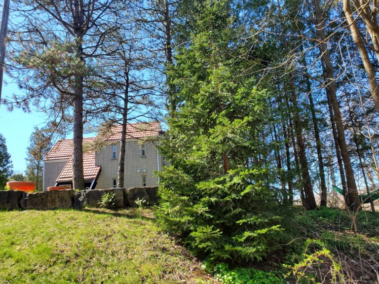 The Mulberry House on the Grand a Paris Bed and Breakfast is the best place to stay in Paris, Ontario