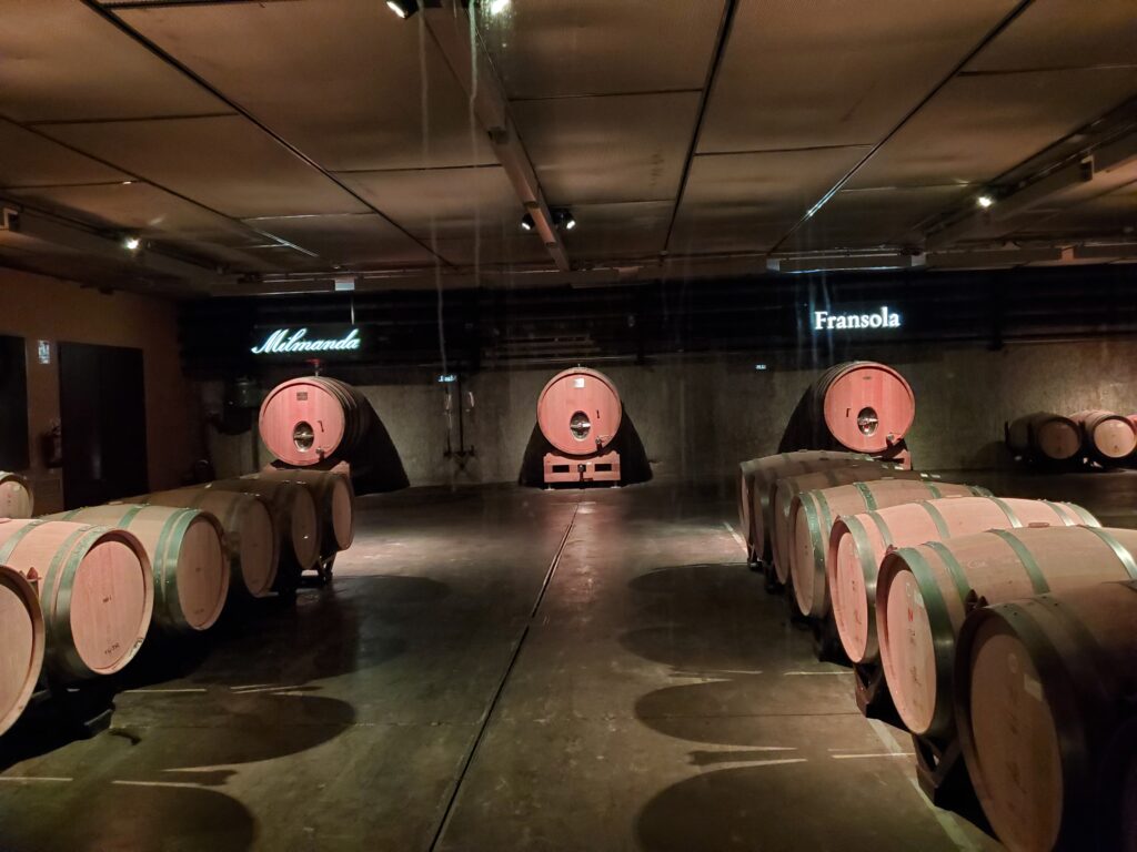 Behind the scenes at Familia Torres, Spain's largest winery