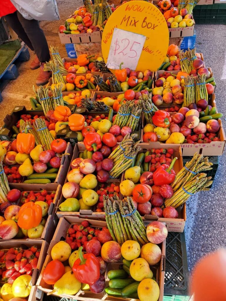 Pack healthy snacks such as apples, berries and vegetables when taking a solo long haul flight