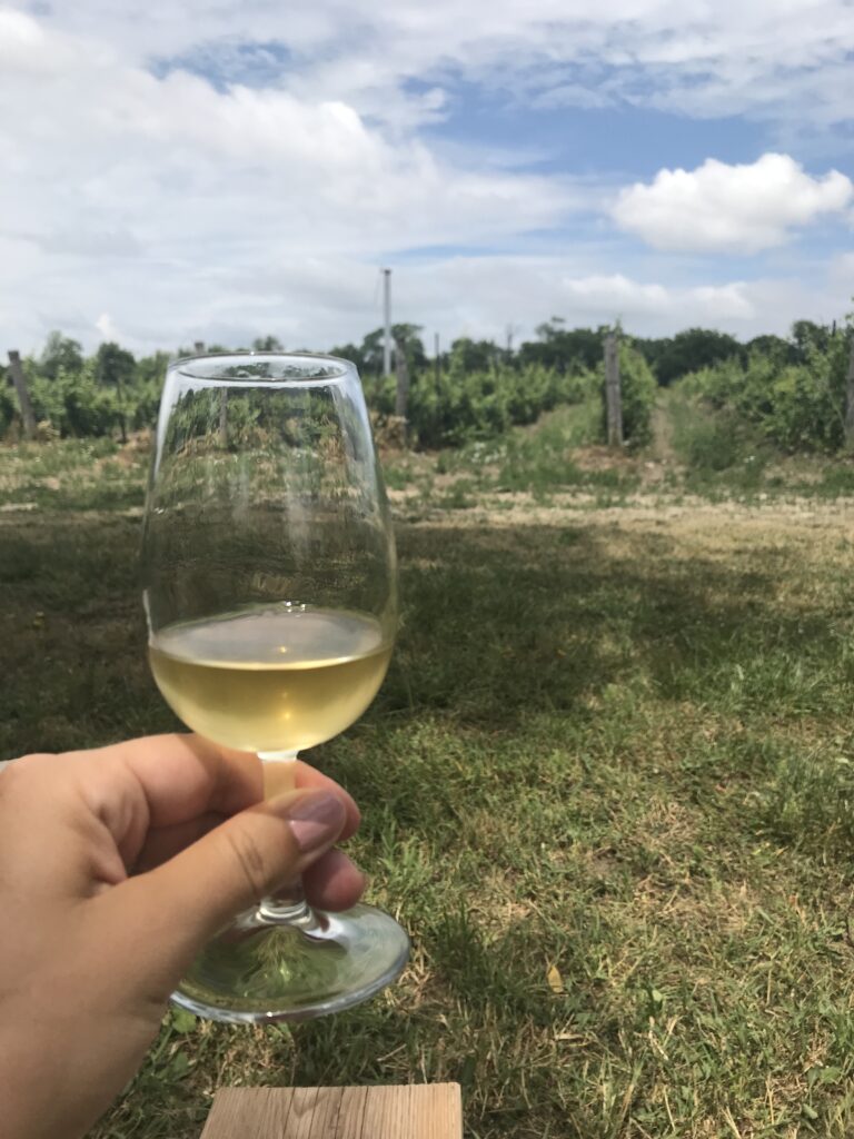 Touring the wineries in Prince Edward County is the ideal Canadian bucket list for solo travellers