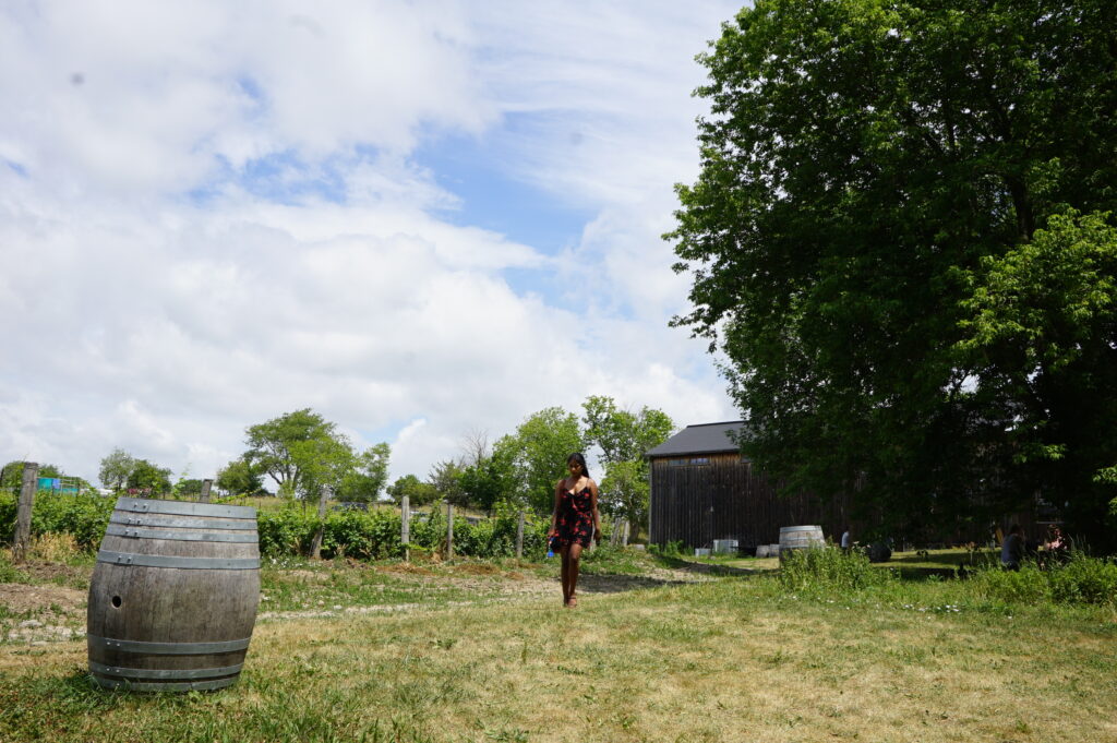 Wine tasting in Prince Edward County is ideal for solo travellers. This makes it a bucket list thing to see and do in Canada for solo travellers