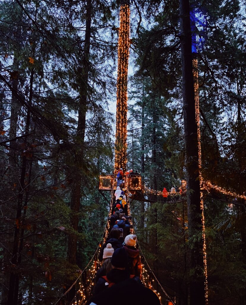 If you're looking for things to see and do in Canada for a solo traveller, look no further than the Capilano Bridge