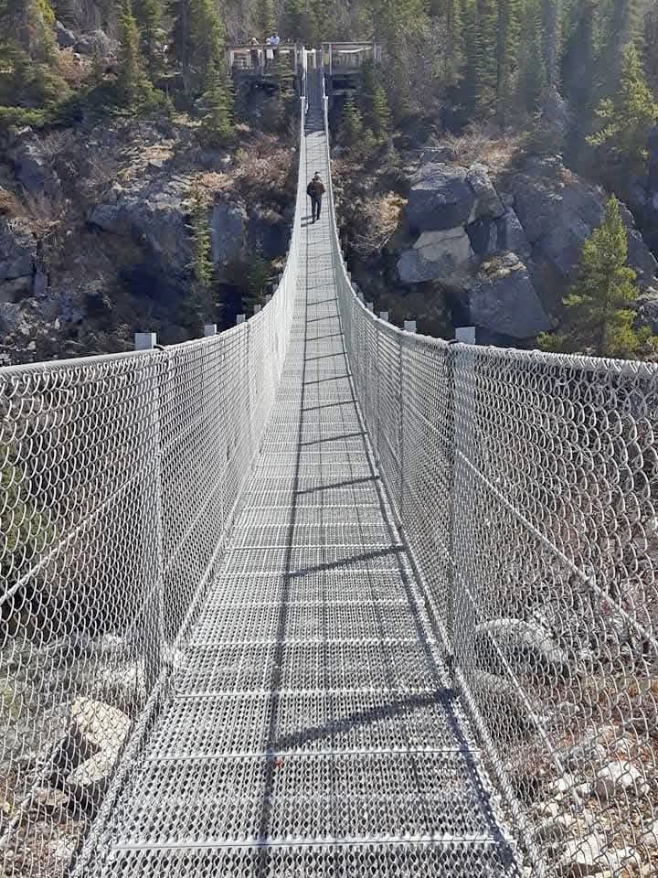 When on a solo cruise through Alaska's Inside Passage, I booked a tour to the Yukon's Suspension Bridge