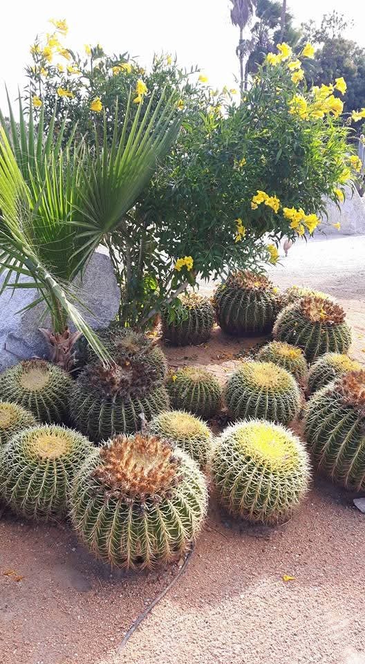 The East Cape is one of the hidden gems found in the Baja California Sur