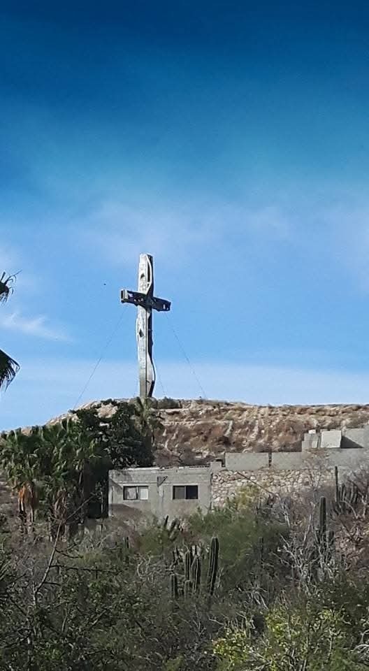 Explore the desert landscape and Cabo Pulma National Park in the East Cape when taking a day trip from Cabo San Lucas